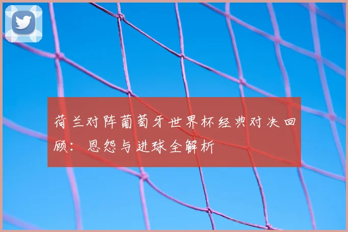荷兰对阵葡萄牙世界杯经典对决回顾：恩怨与进球全解析
