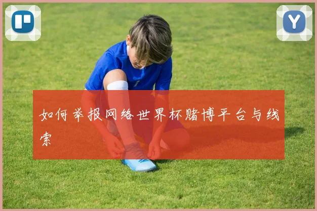 如何举报网络世界杯赌博平台与线索
