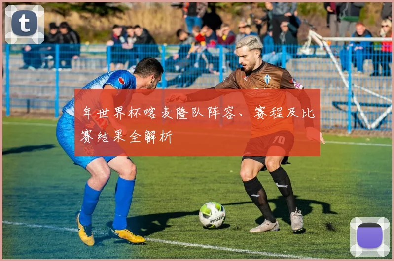 年世界杯喀麦隆队阵容、赛程及比赛结果全解析