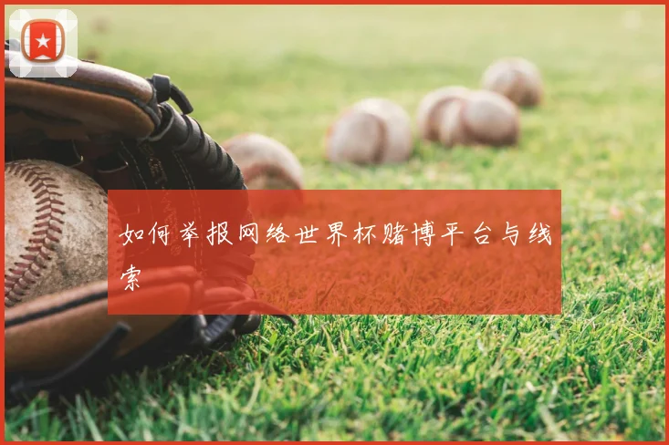 如何举报网络世界杯赌博平台与线索