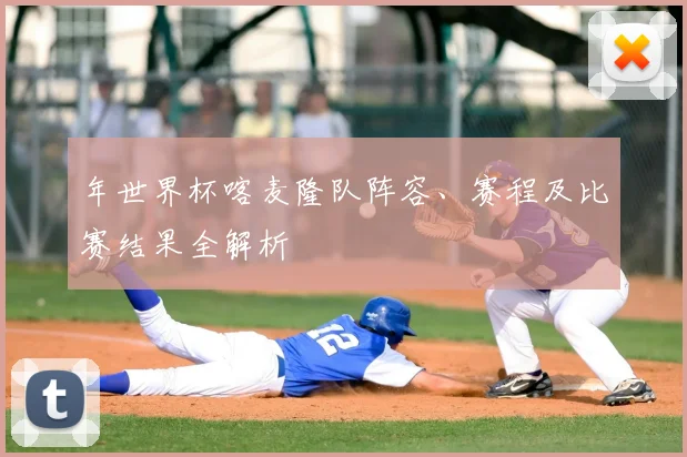 年世界杯喀麦隆队阵容、赛程及比赛结果全解析