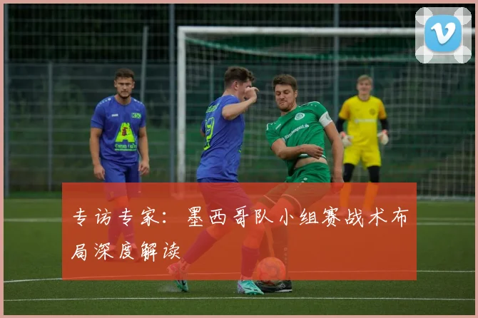 专访专家：墨西哥队小组赛战术布局深度解读